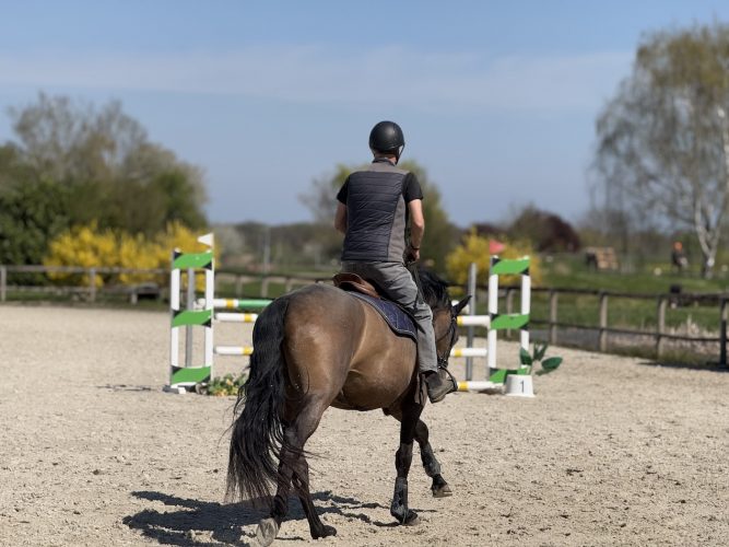 Cheval eckwersheim poney, course, écurieIMG_1686