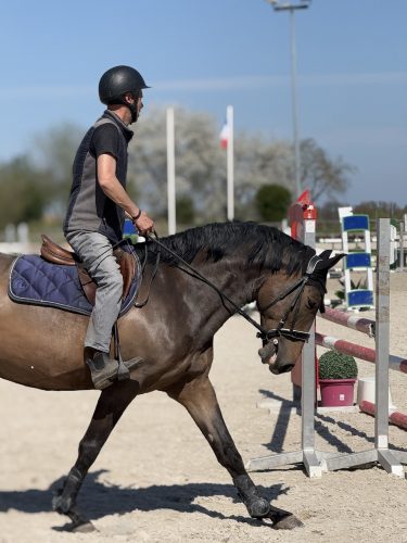 Cheval eckwersheim poney, course, écurieIMG_1694