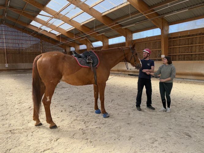 Cheval eckwersheim poney, course, écurieIMG_1719