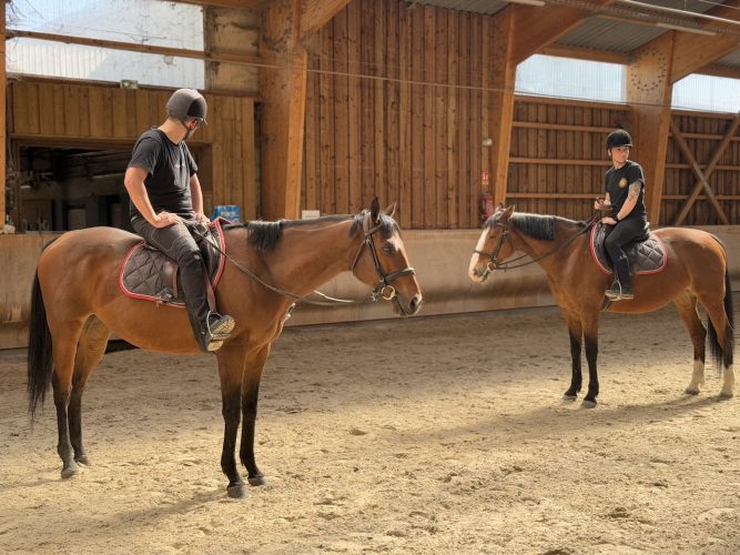 Cheval eckwersheim poney, course, écurieIMG_1755