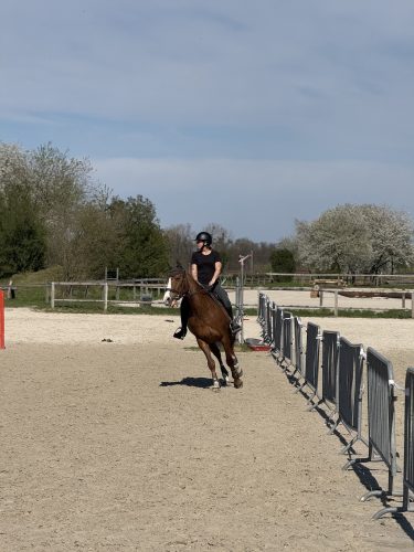 Cheval eckwersheim poney, course, écurieIMG_1793