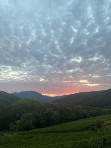 vue d&rsquo;alsace