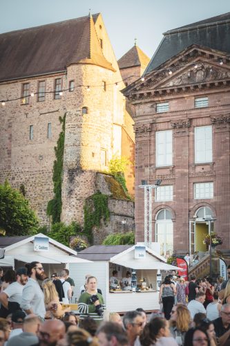 Festival les Alpagas Bleus 2025, Saverne, Palais, château des Rohan