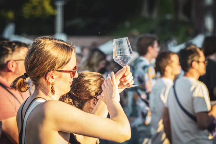 FRANCE – SAVERNE – FESTIVAL LES ALPAGAS BLEUS – 2025 – WR (4 sur 70)
