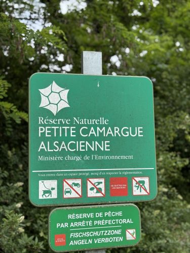 Saint Louis 2 pays base nautique permis bateau petite camargue East ParkIMG_8084