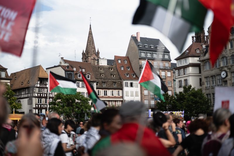 manif manifestation palestine gaza