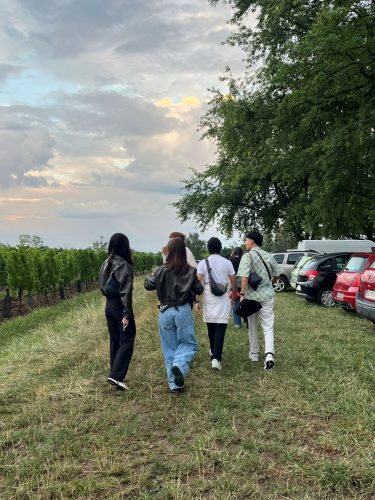 fete du vin groupe amis