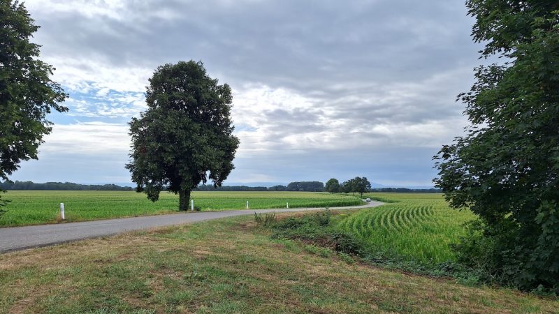 campagne