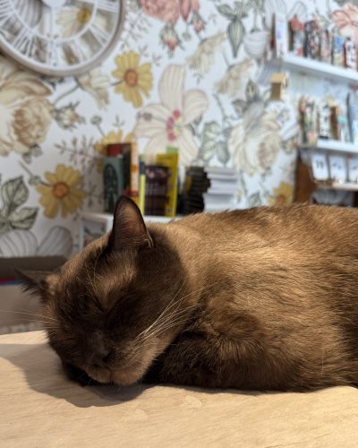 O&rsquo;Malley Mon Chat Pitre