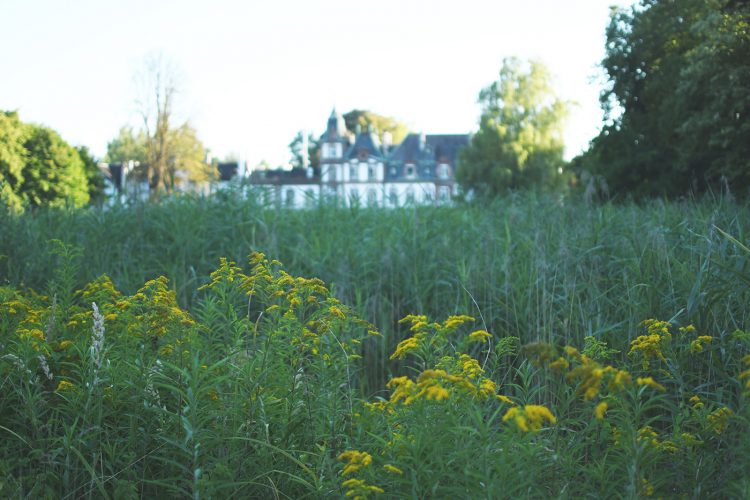 Parc Pourtalès (12)