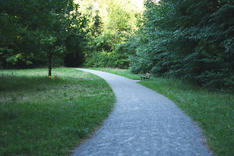 Parc Pourtalès (14)