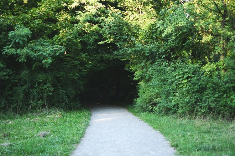Parc Pourtalès (15)