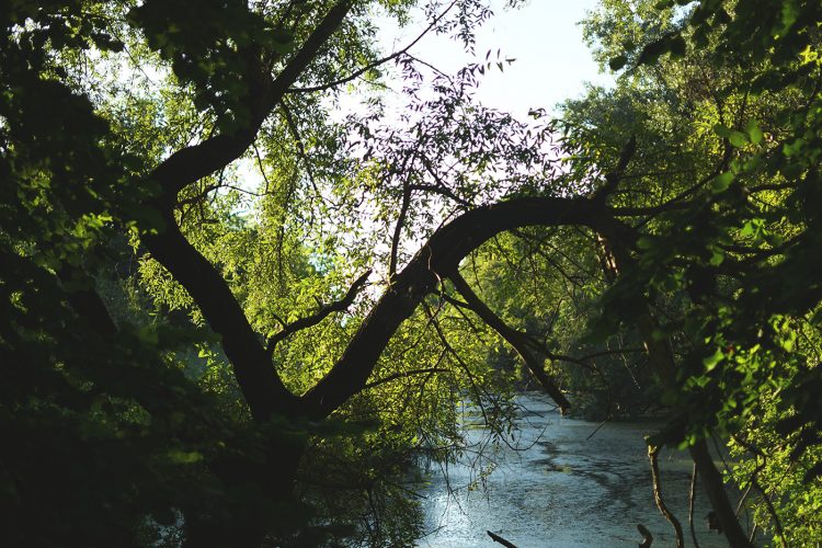 Parc Pourtalès (28)