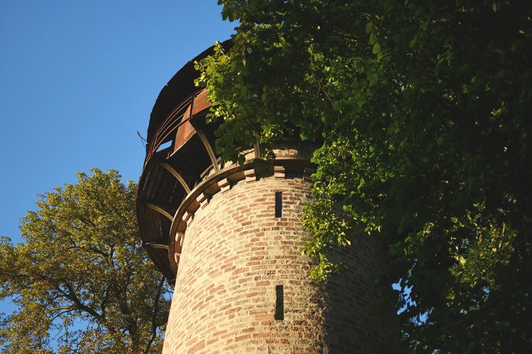 Parc Pourtalès (30)