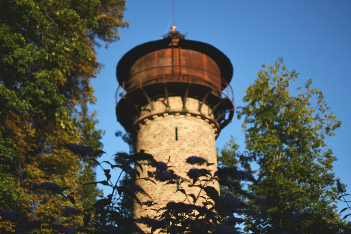 Parc Pourtalès (33)
