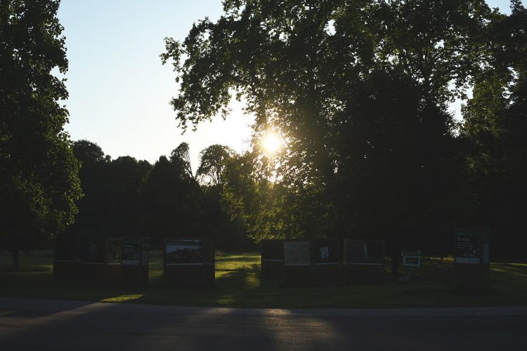 Parc Pourtalès (39)