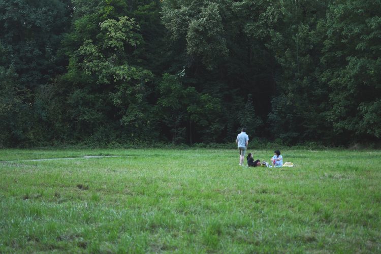 Parc Pourtalès (42)