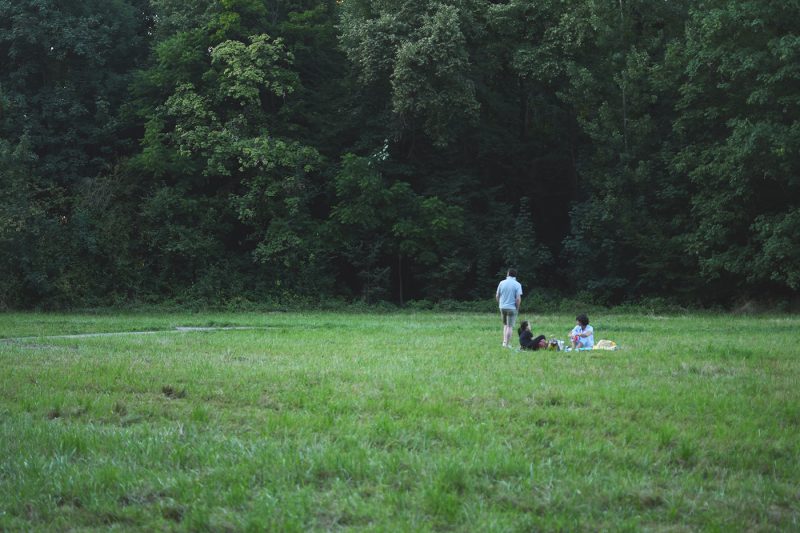 Parc Pourtalès (42)