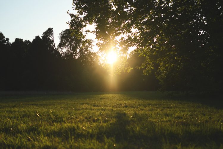Parc Pourtalès (46) coucher de soleil