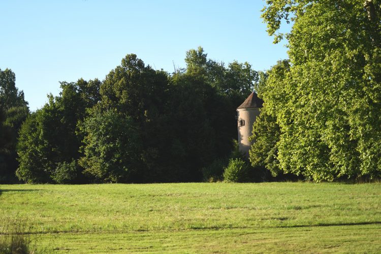 Parc Pourtalès (53)