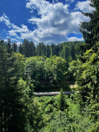 Cascade Mecke Julia Wencker