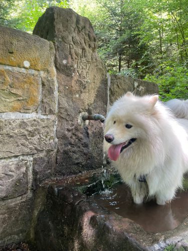 Fontaine Mencke