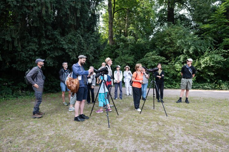 LPO balade nature ville oiseau oiseaux ornithologie observation faune orangerie