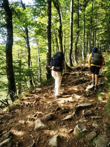 vosges-sentier-hohneck