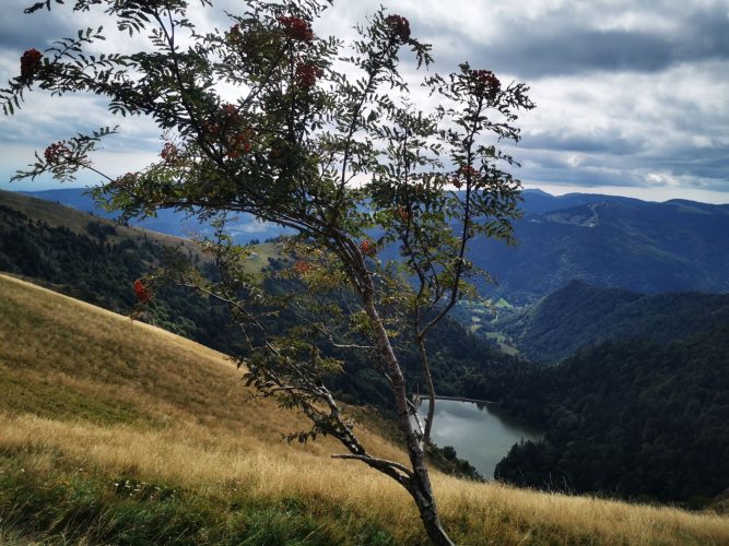 schiessrothried-vosges-lac
