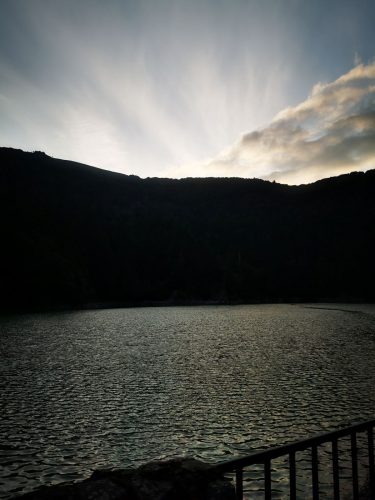 altenweiher-etang-vosges