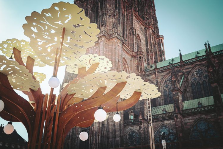 Der Wald, La forêt, The forest devant la cathédrale