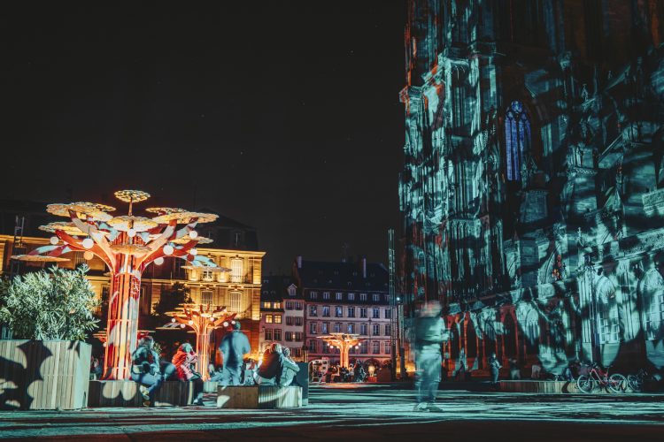 Der Wald, La forêt, The forest devant la cathédrale, nuit