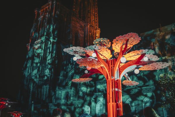 Der Wald, La forêt, The forest devant la cathédrale, nuit