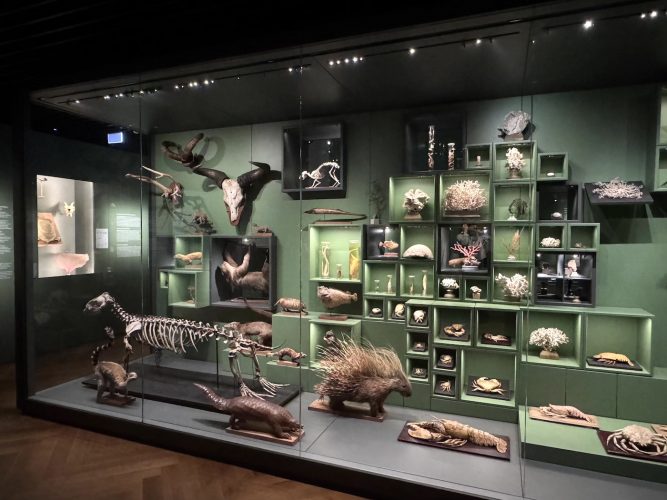 Musée zoologique