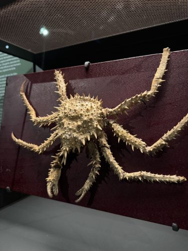 Musée zoologique