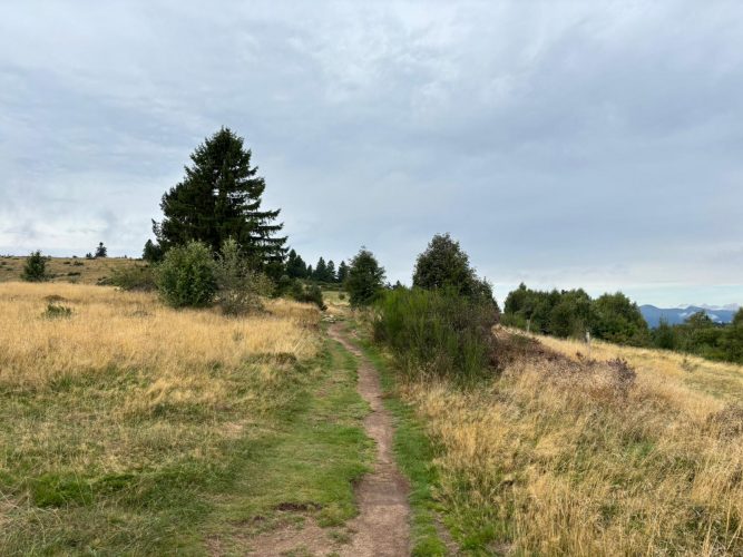 randonnnée grendelbruch cercle de pierres Hohbuhl julia Wecnker (17)