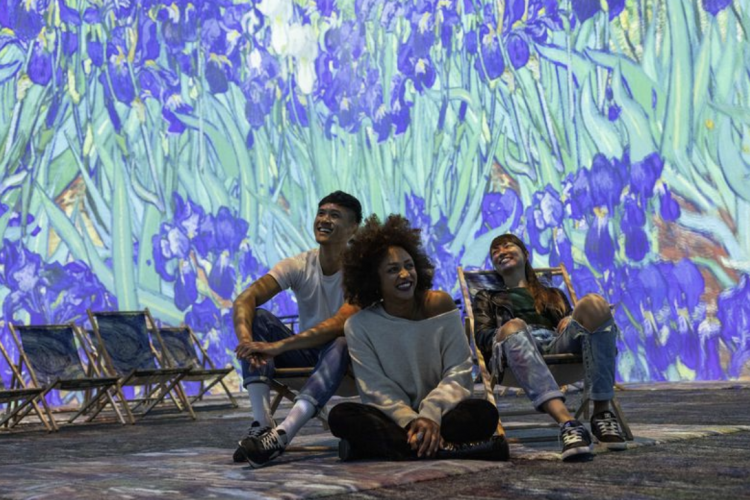 Van Gogh the immersive experience (8)