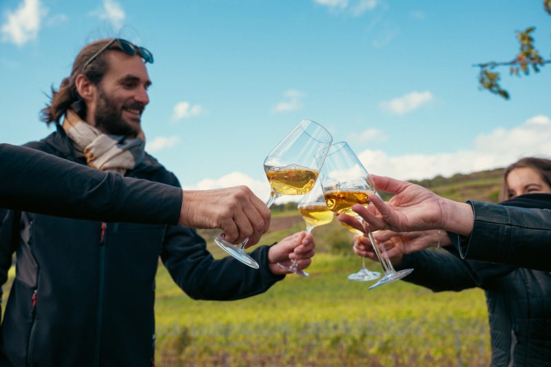 Vignobles en scène