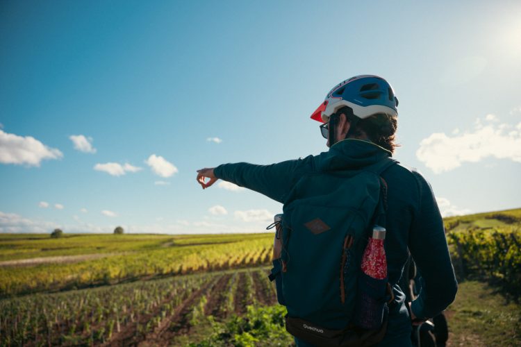 Vignobles en scène