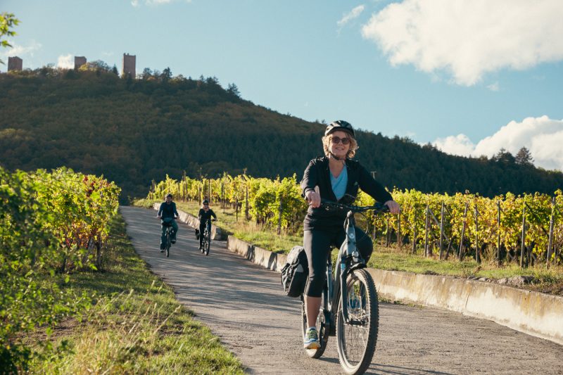 Vignobles en scène