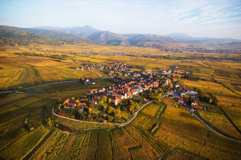 Vignobles en scène