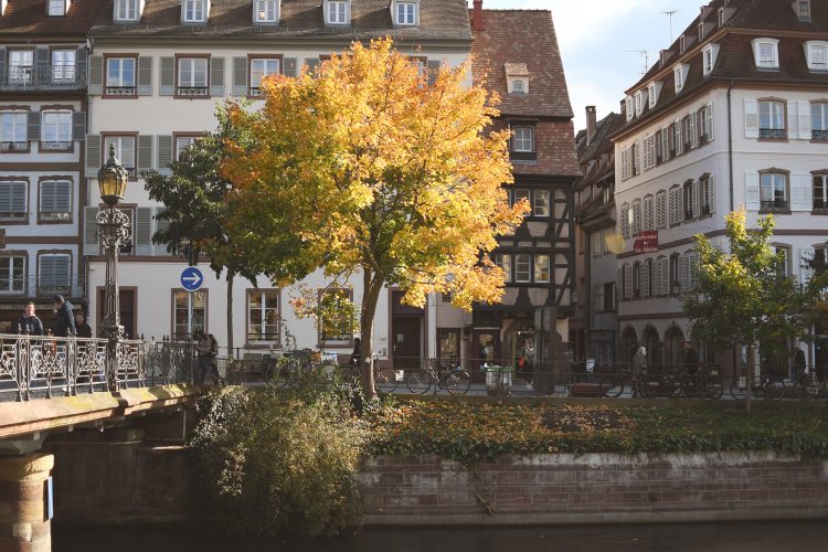 Quai des bateliers automne