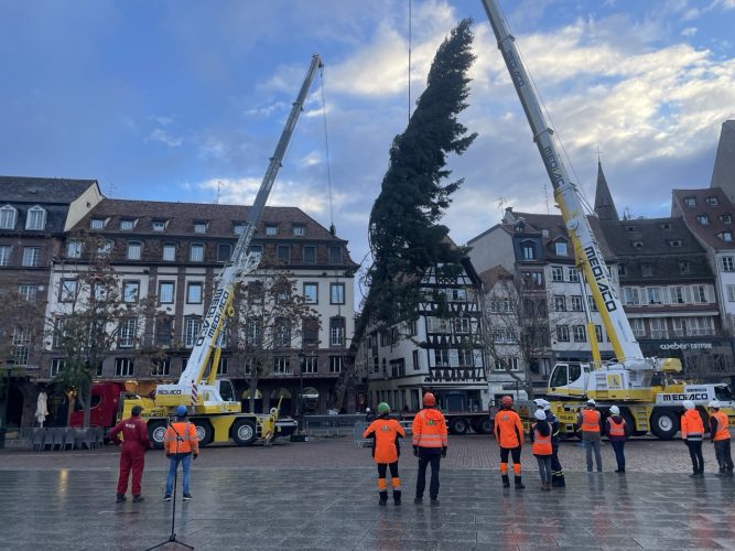 grand sapin