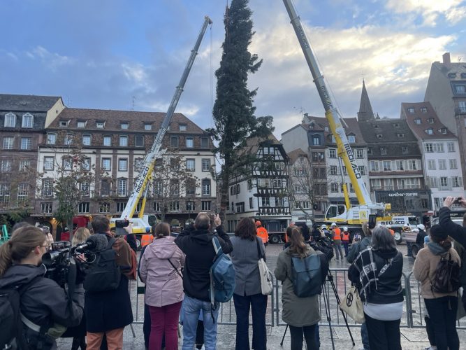 grand sapin