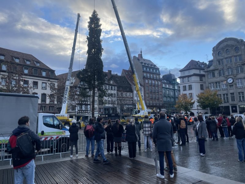 grand sapin