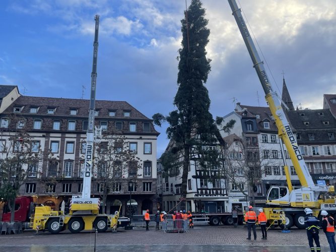 grand sapin