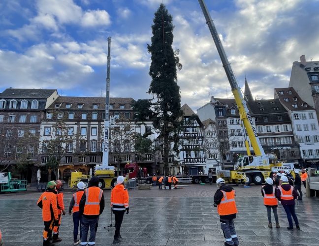 grand sapin