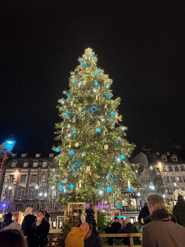 sapin Kléber 2025