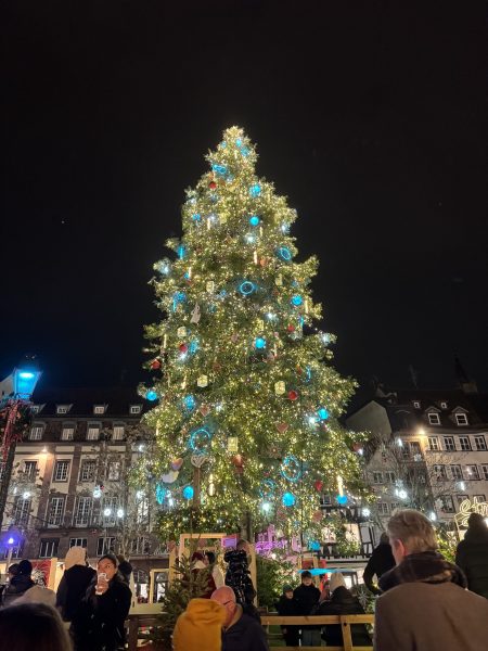 sapin Kléber 2025