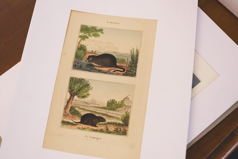 Galerie l&rsquo;Estampe (26)
